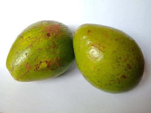 Green Avocado fruit Stock Photos