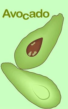 Green avocado fruit with seed Stock Illustration