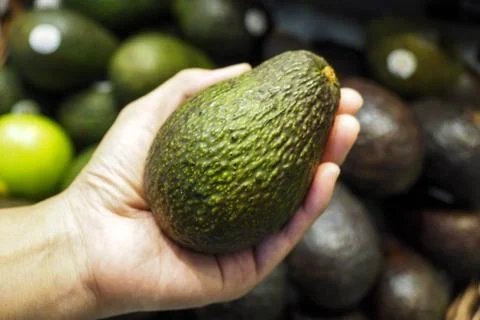 Green avocado in hand Foto stock