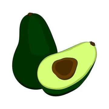 Green avocado with ossicle in a cut. Vector illustration. Hand drawing Stock Illustration