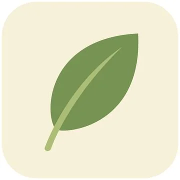 Green avocado tree leaf flat organic icon Stock Illustration