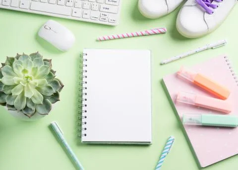 Green back to school flat lay. Workspace Stock Photos
