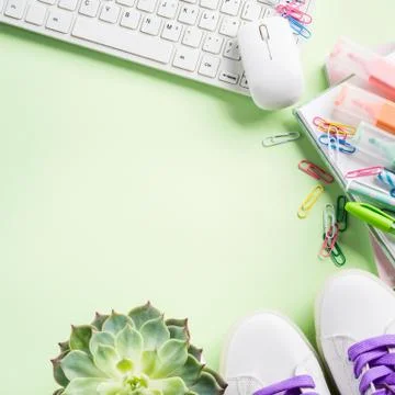 Green back to school flat lay with copy space Stock Photos