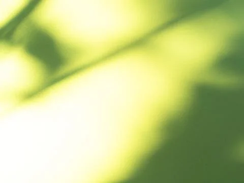 Green Background Abstract Backdrop Overlay Leaf Spring Plant Shadow 写真素材