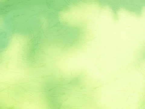 Green Background Abstract Backdrop Overlay Leaf Spring Plant Shadow 写真素材