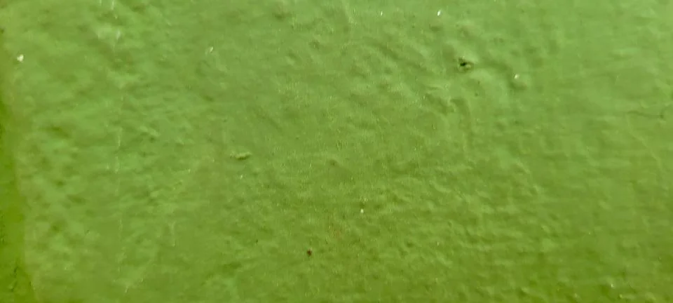 Green background with abstract rustic texture. Stock Photos