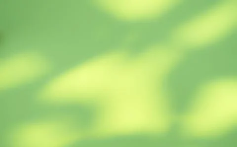 Green Background Abstract Shadow Leaf Nature Gradient 스톡 사진