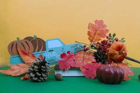 On a green background, an autumn composition Stock Photos