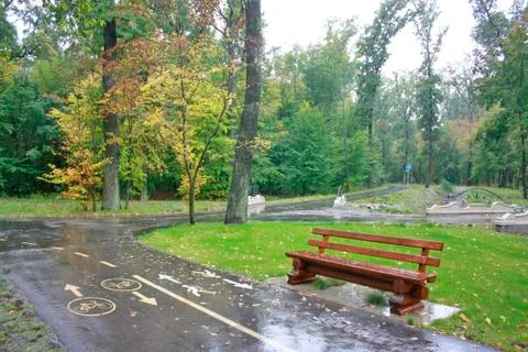 Green background, bench and path in the green park, resting place Stock Photos