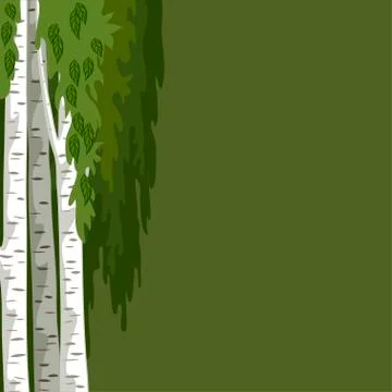 Green background with birches Stock Illustration
