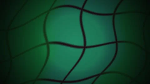 Green background with black lines forming a net like pattern. Stock Footage 335960945