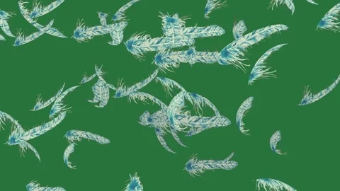 A green background with blue feathers and bunch of flying in the air white Stock Footage 335696930