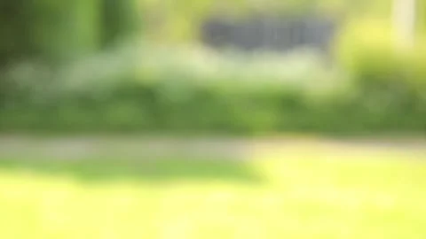 Green background in blur in summer Stock Footage 245178467