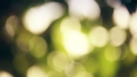 Green Background  Bokeh Lights Stock Footage 95754748