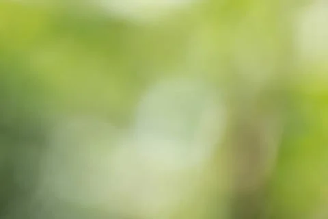 Green background bokeh Stock Photos