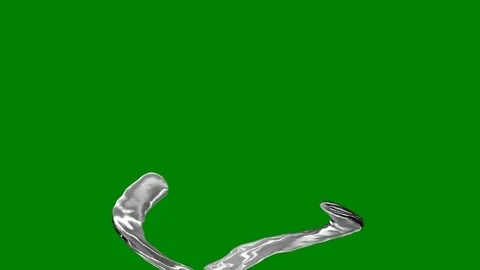 Green background border bird flying the air middle screen antwo hands silver Stock Footage 314066793