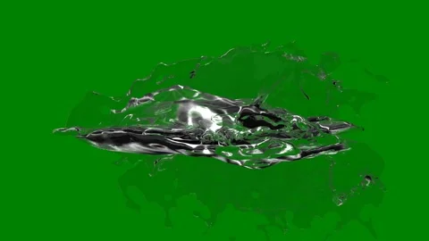 Green background border black two birds screen couple dolphins jumping the air Stock Footage 314066802