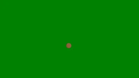Green background border an eggmonkey screen brown circle beaver ' s face green Stock Footage 314067582