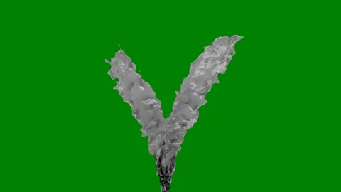 Green background border two dolphins jumping the air screen birds are flying Stock Footage 314066797