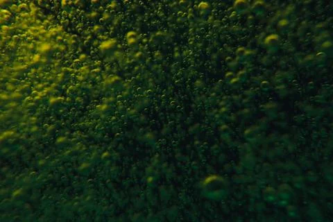 Green background bubbles water. close up. Stock Photos