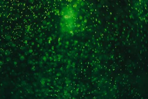 Green background bubbles water. close up. Stock Photos