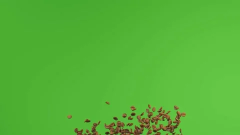 Green Background Coffee Beans Animated Stock Footage 142759063