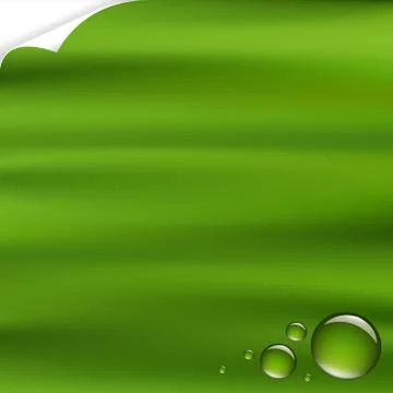 Green background with drops Stock Illustration