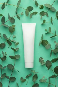 Green background with eucalyptus branches and a white tube for cosmetics. Mok Stock Photos