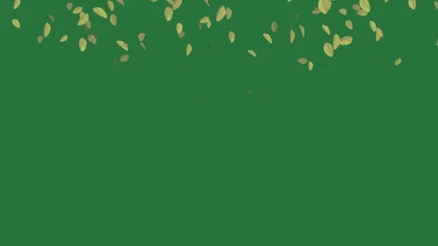 A green background with falling leaves and green screen movement design motion Stock Footage 335697138