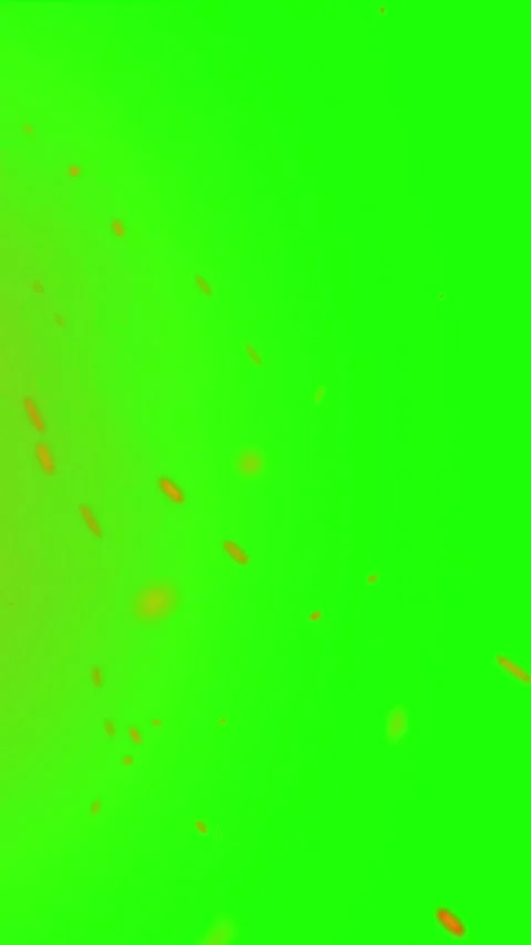 Green background with floating orange particles motion graphics and abstrac.. Stock Footage 345613158