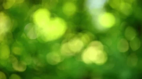 Green Background Vidéo 1099148