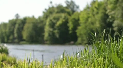 Green background Stock Footage 11195008