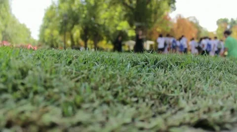 Green background Stock Footage 12134431