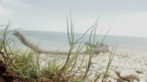 Green background Stock Footage 12366321