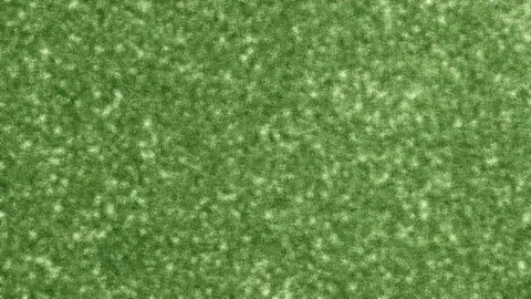 Green background Stock Footage 119201516