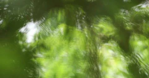 Green background. Video stock 246905398