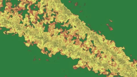A green background with gold border and screen bunch of yellow flowers fire on Видео 335091412