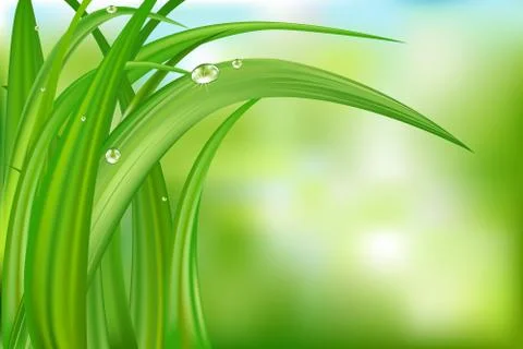 Green background with grass Stock Illustration