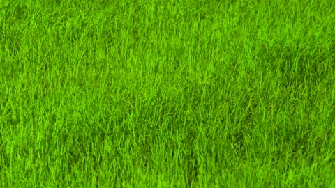 Green background of grass leaf in field on full flame photo pattern, fresh green 動画素材 132584789
