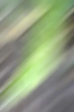 Green background gray motion nature. Foto stock