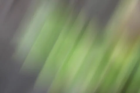 Green background gray motion nature. Stock Photos