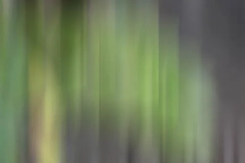 Green background gray motion nature. Stock Photos
