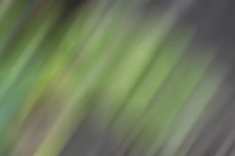 Green background gray motion nature. Stock Photos