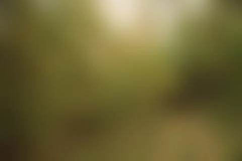 Green background Stock Illustration