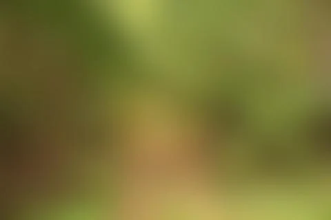 Green background Stock Illustration