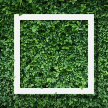 Green background Stock-Illustration