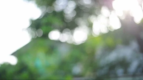 Green background image Blurred images of bokeh in the day with the wind blowing. Video stock 97074994