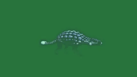 A green background with an image of turtle and on it green screen animated Видео 335130340