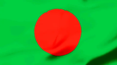 Green background with large red circle in center Video stock 343573817
