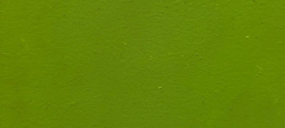 Green background with light texture on wall panel Stock Photos